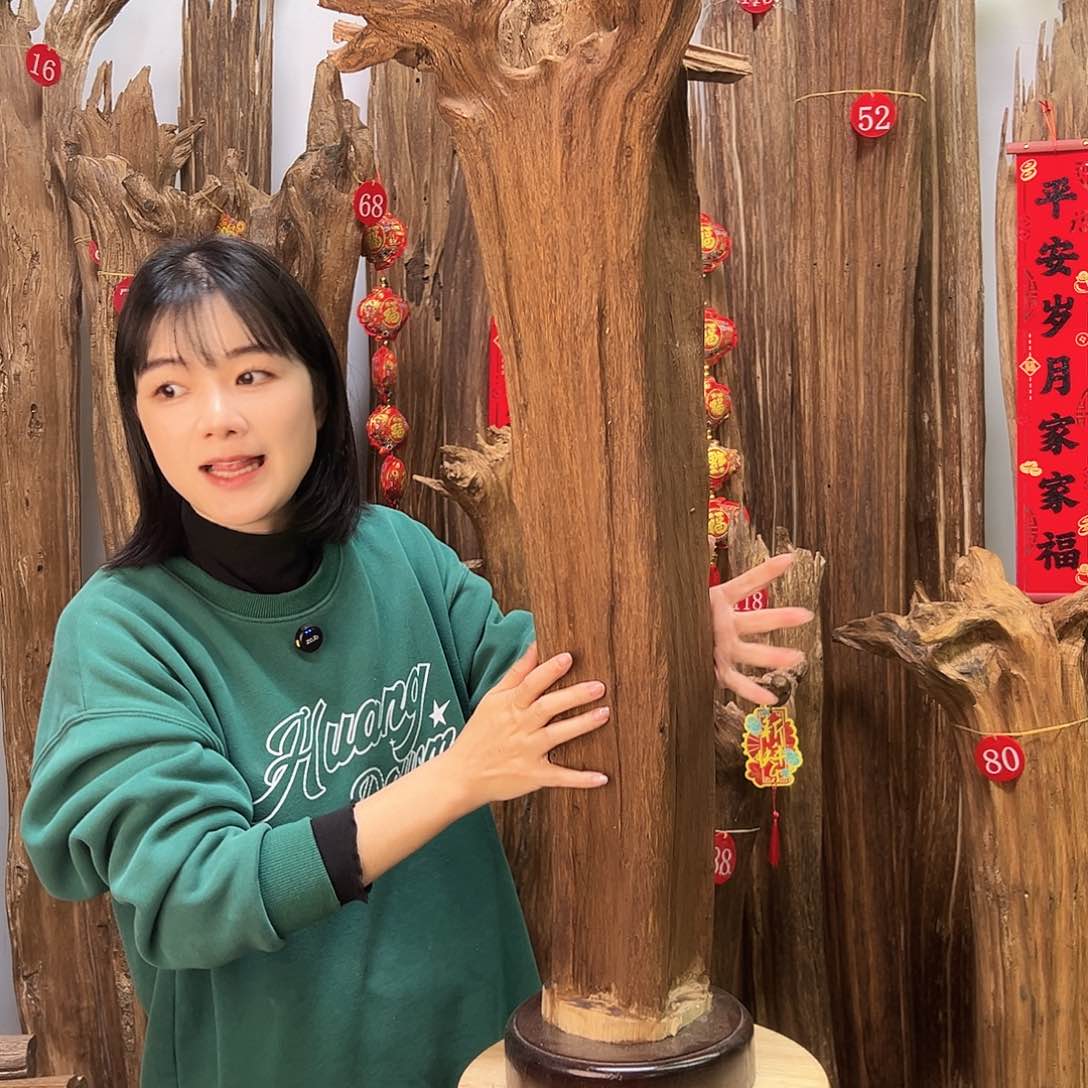 沉香摆件沉香原料摆件工艺品