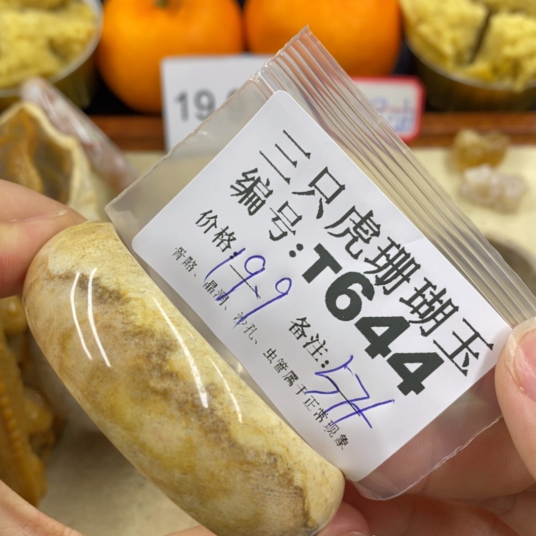 硅化珊瑚（珊瑚玉）1未镶嵌j**o