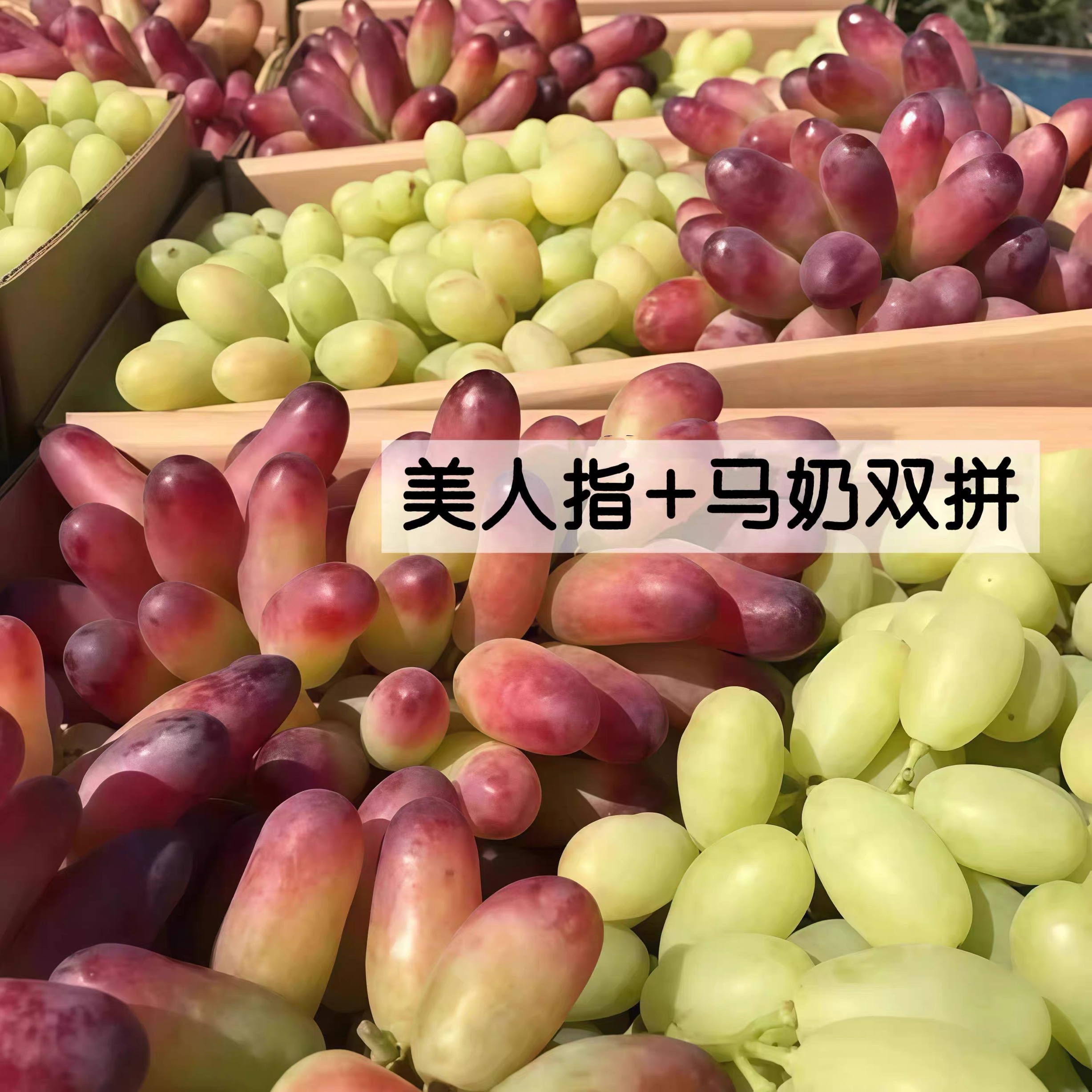 【白玛奶美人指混合装】河北怀来县特产应季水果怀来葡萄之乡