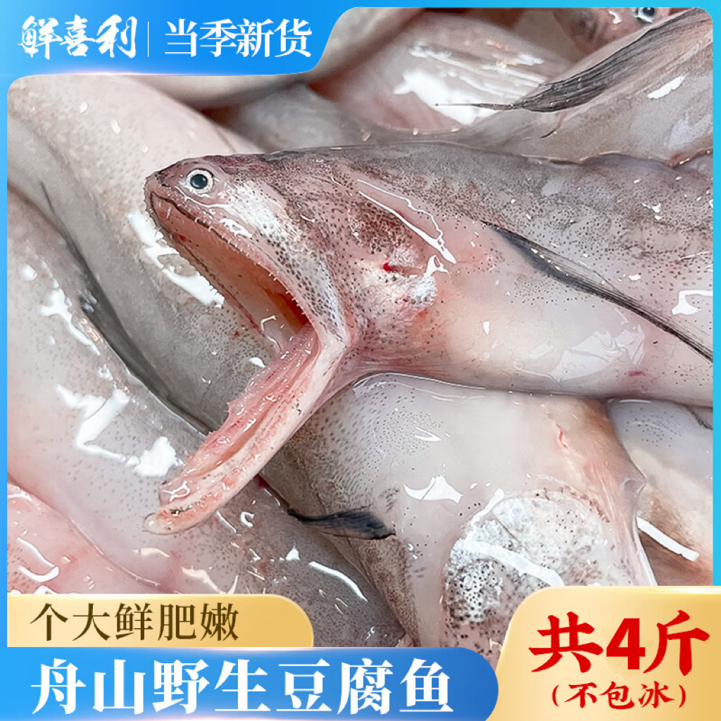 S 舟山龙头鱼新鲜冷冻豆腐鱼鲜嫩水潺4斤九肚鱼【自家渔船捕捞】