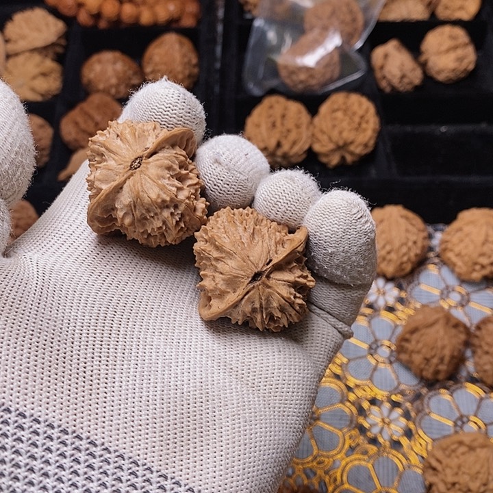 文玩核桃把件和*秦岭柳叶鸡心