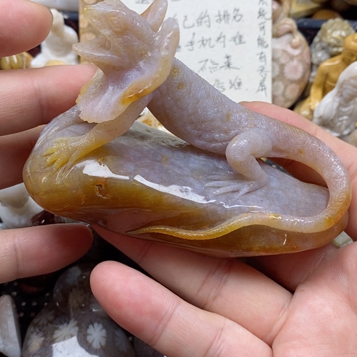 颈饰未镶嵌硅化珊瑚（珊瑚玉）