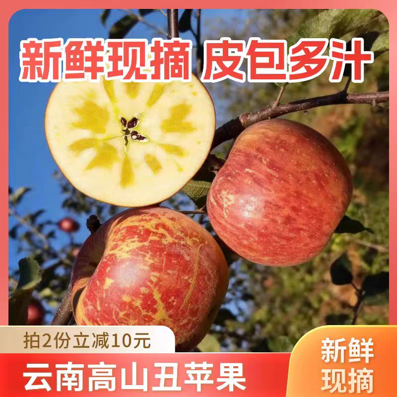 昭通冰糖心丑苹果新鲜现摘精品