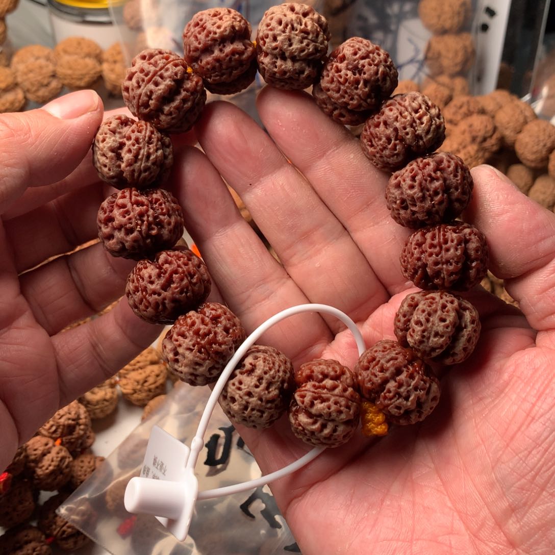 金刚菩提手串雷**、22龙牙头货