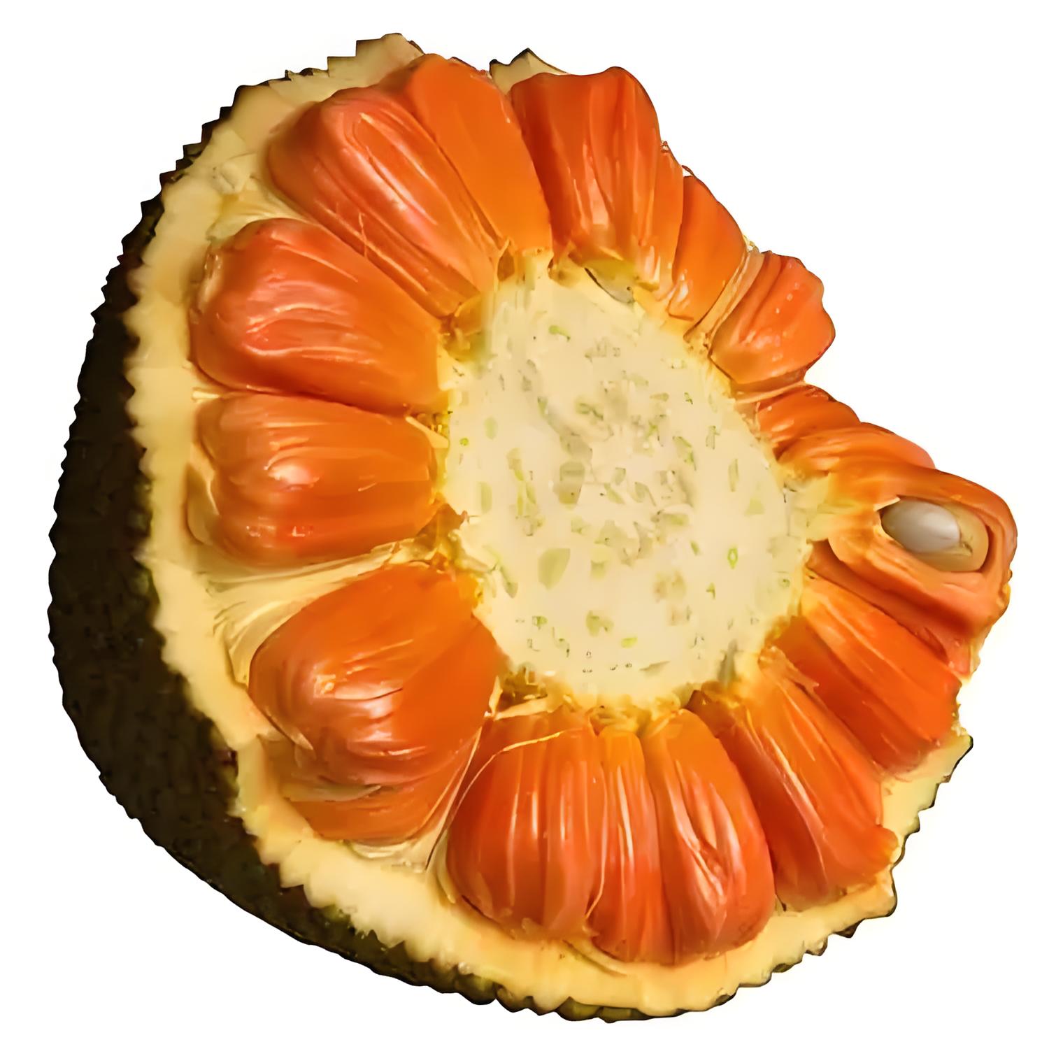 正宗印尼红肉菠萝蜜干苞脆甜整果发货【次日达】红肉菠萝蜜越南社会主义共和国