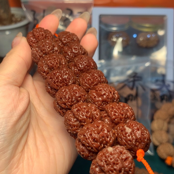 齊***笙金刚菩提手串21尺寸超头