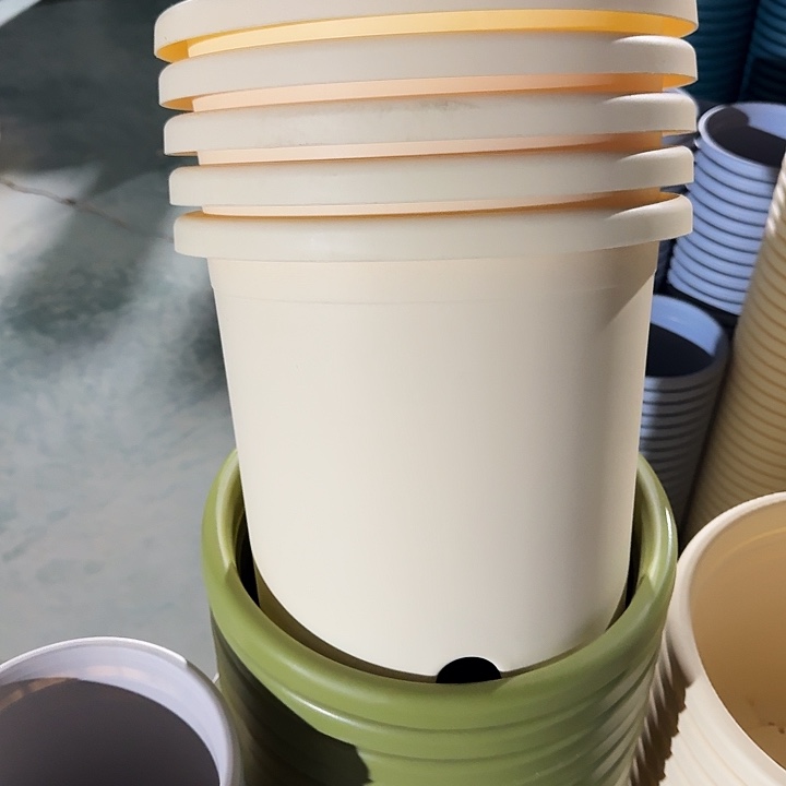 微瑕5#口径29米黄5个无托