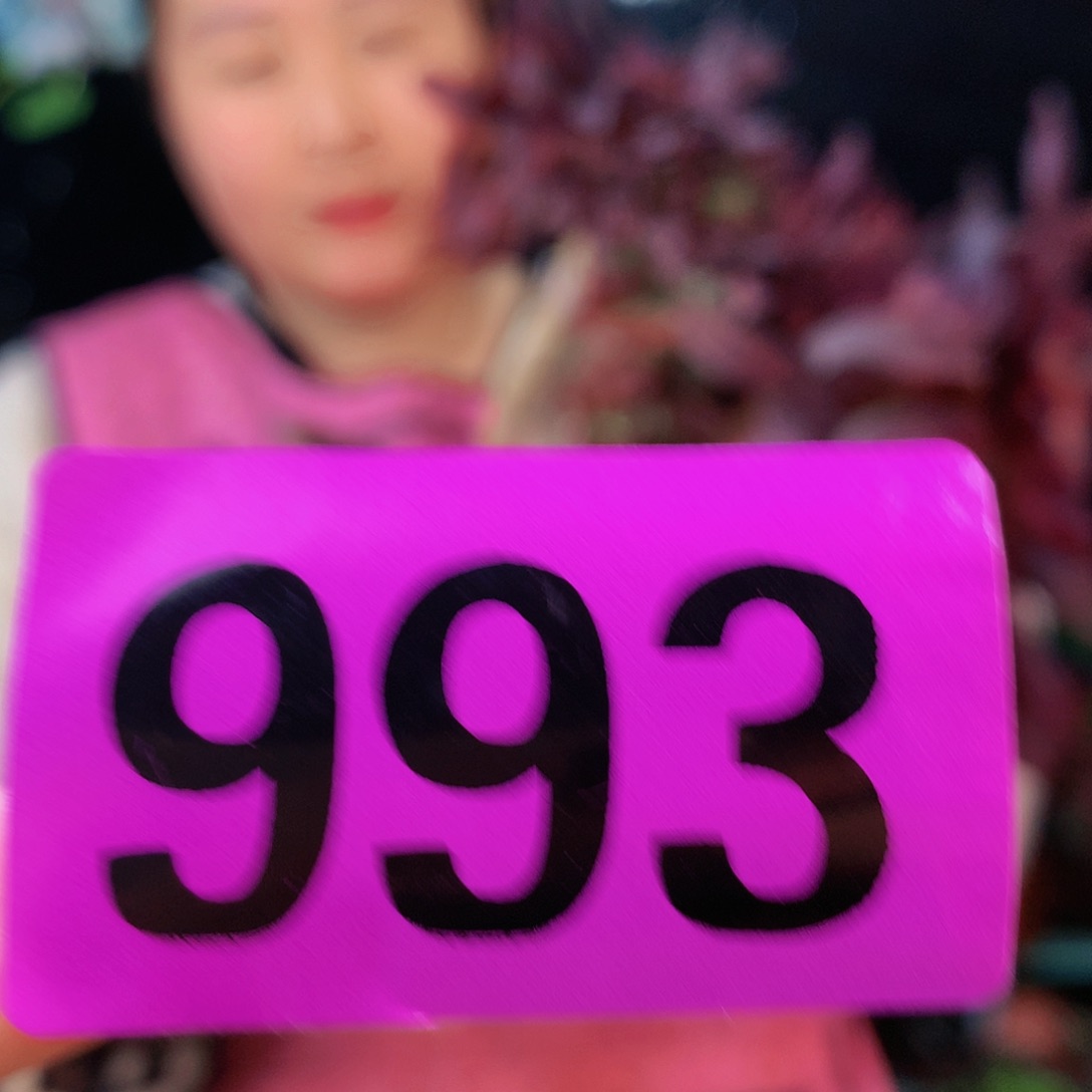 sssssssssssssssssss993