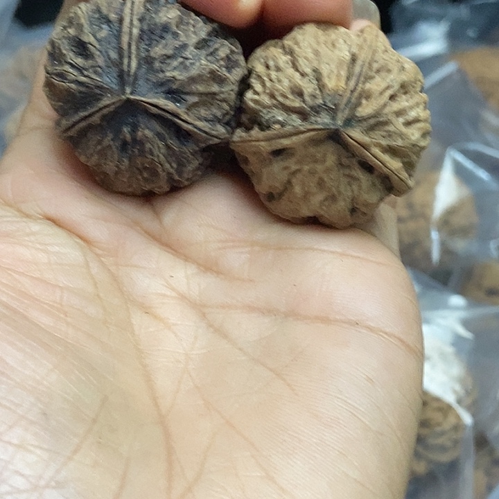 把件文玩核桃云南铁核桃基地71