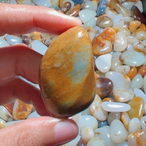 和田玉（糖玉）手链未镶嵌6