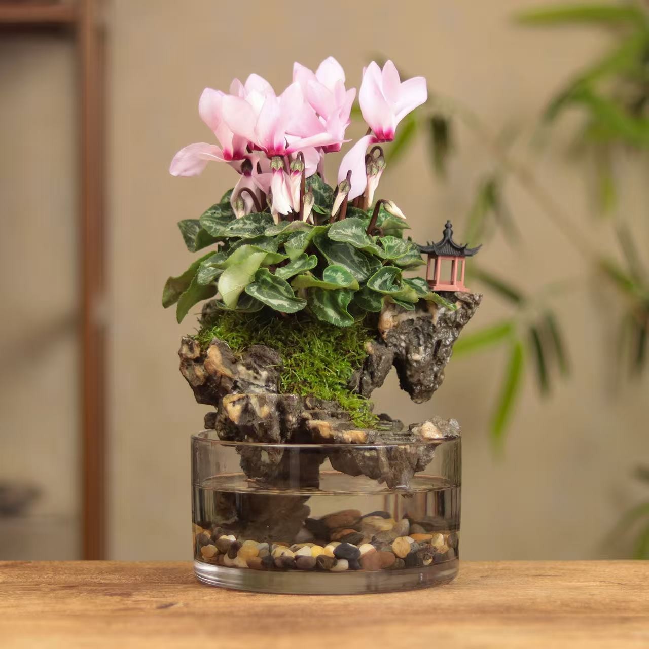[仙居]仙客来创意真绿植室内禅意国风摆件带灯鱼缸15*8cm