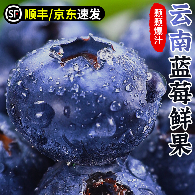 【精品蓝莓】云南蓝莓鲜果新鲜水果16-19mm当季大蓝莓孕妇带盒100g次日达顺丰云南省