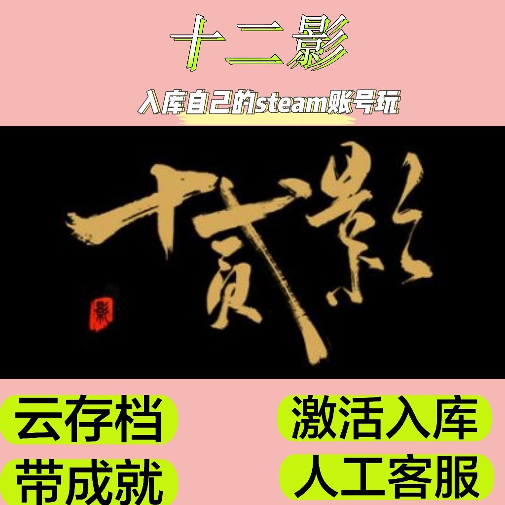 十二影曲：暗夜  电脑游戏 steam入库人工远程安装服务