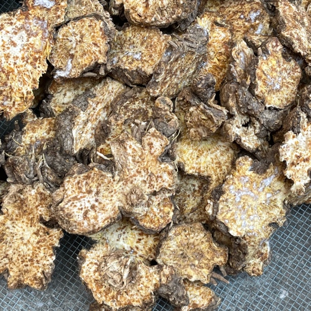 秦岭苍术深山苍术片野山苍术片北苍术陕西秦岭大山苍术另有白术片