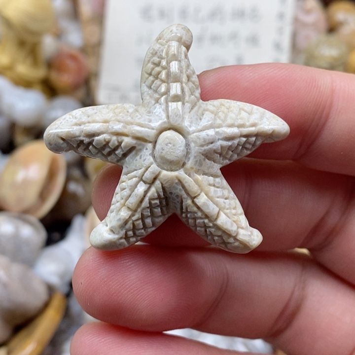 颈饰未镶嵌硅化珊瑚（珊瑚玉）