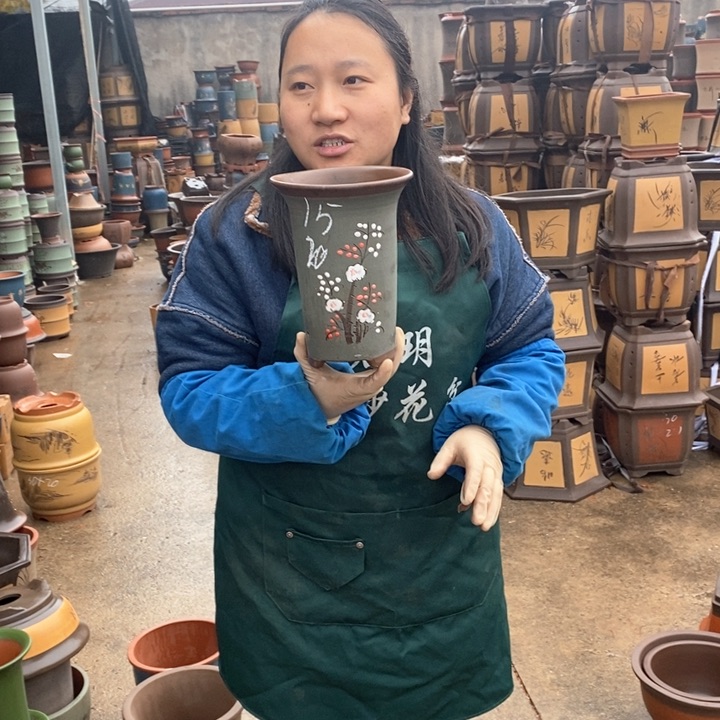 紫砂花盆盆栽花卉苗木种植