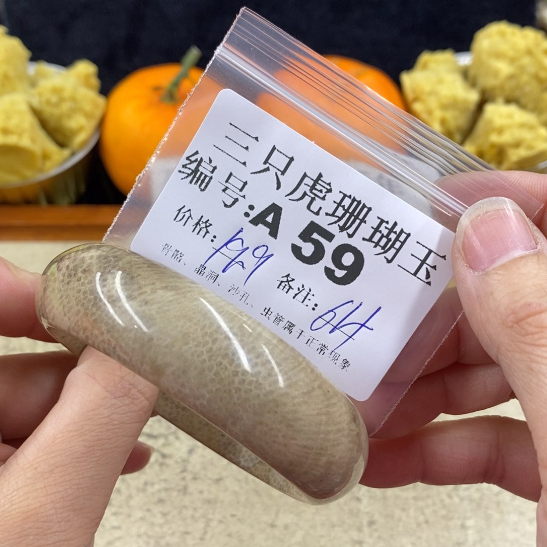 硅化珊瑚（珊瑚玉）1未镶嵌用****5