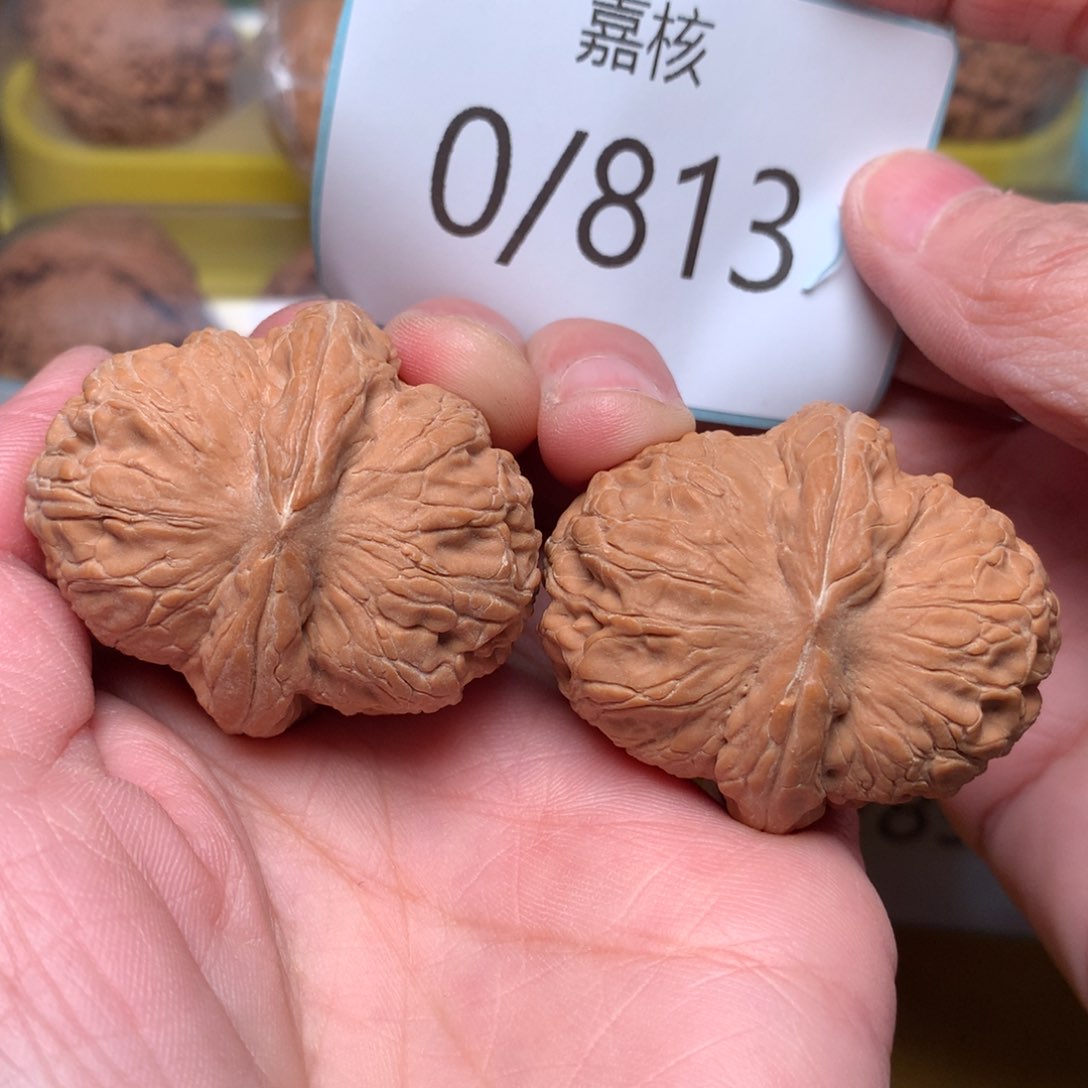 文玩核桃把件真*错毕业肉球元宝42