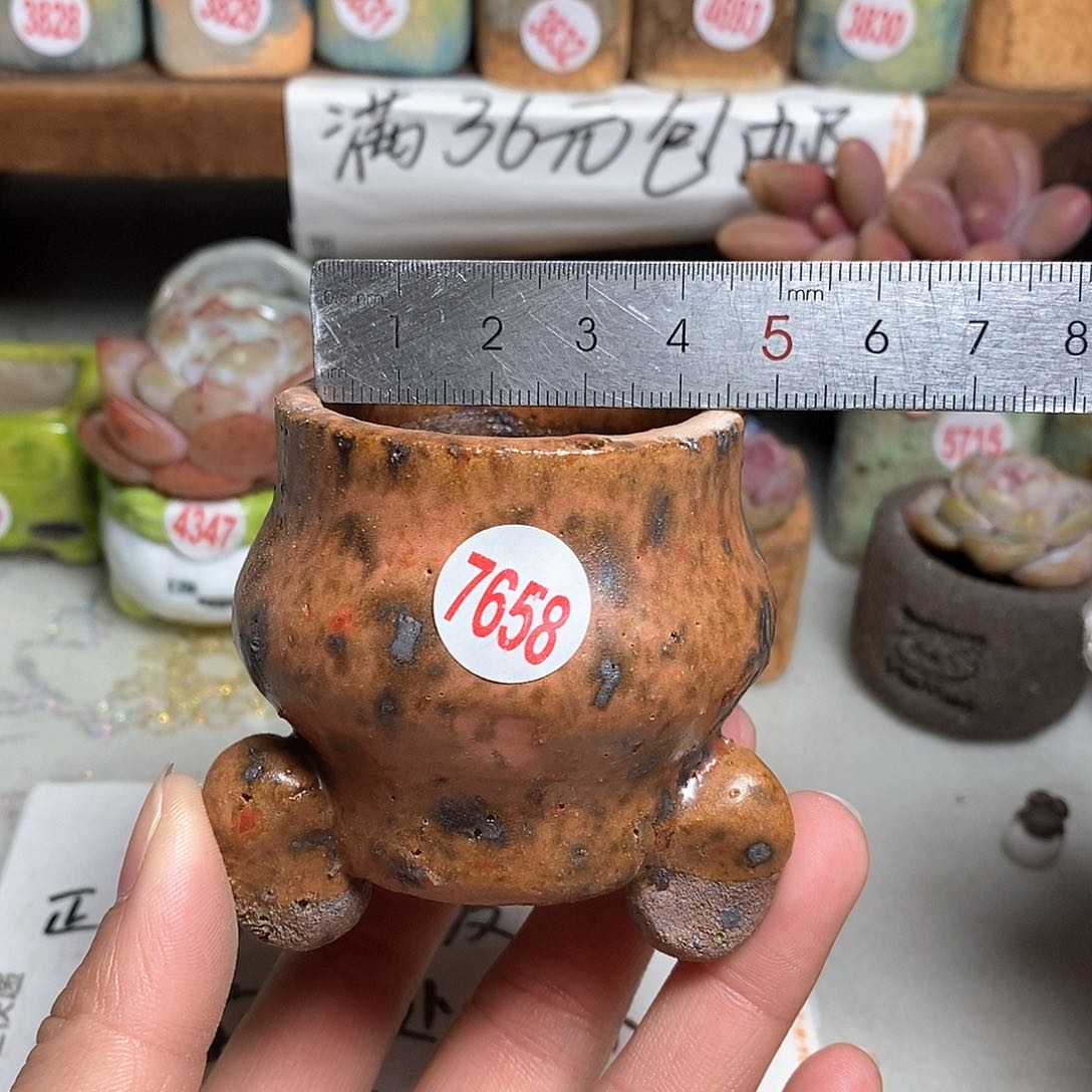 红陶拍5送一个小