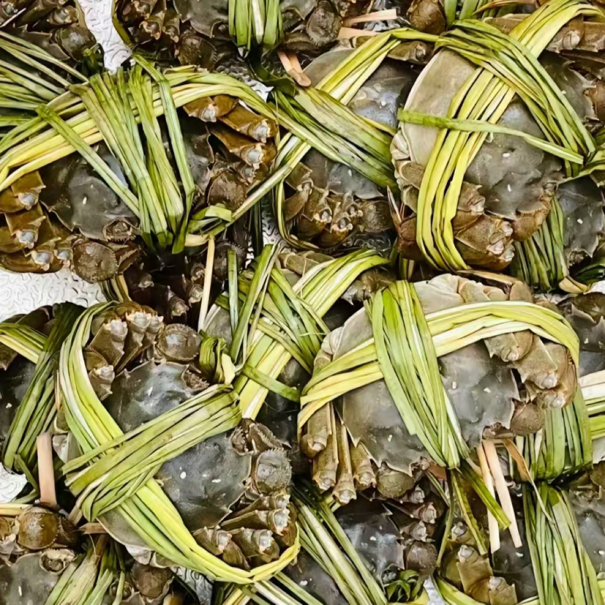 【活蟹】1.8母蟹鲜活大闸蟹（约60g~80g）每只约1.2两~1.6两