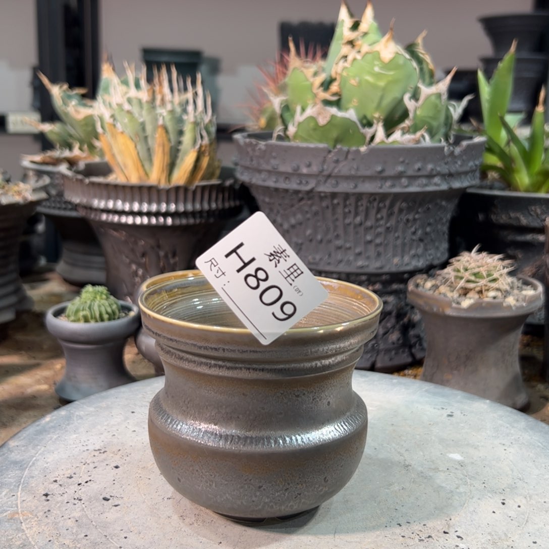 景德镇手工素里内口9.5高9