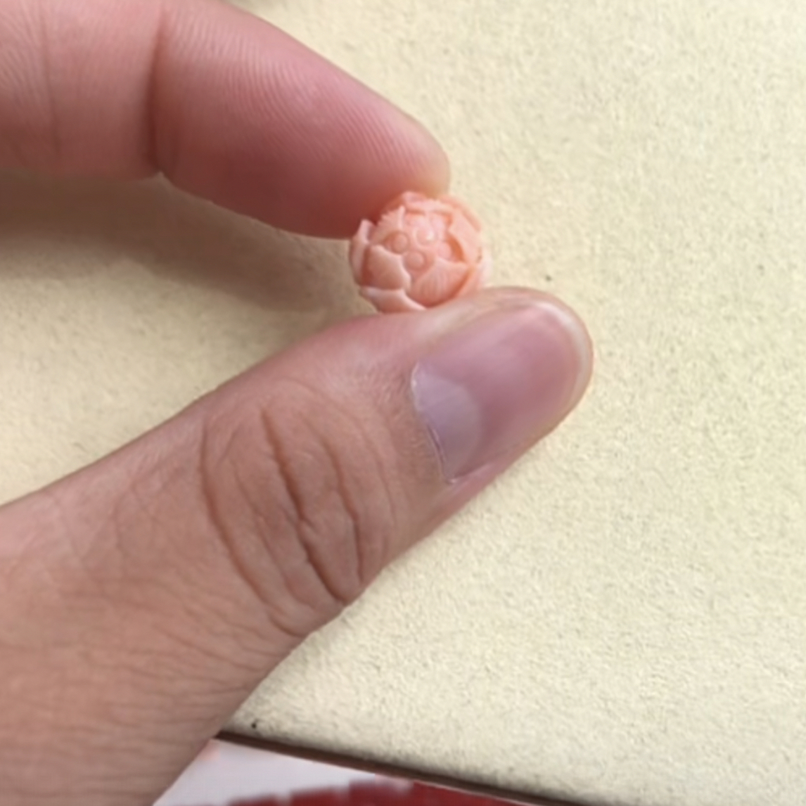 momo珊瑚莲花一个