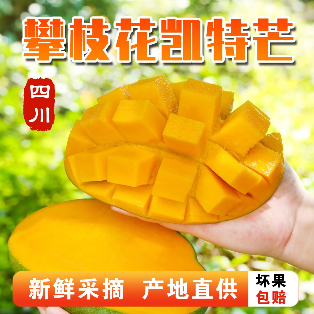 【现摘优质】攀枝花凯特芒新鲜现摘应季水果香甜饱满多汁（包邮）