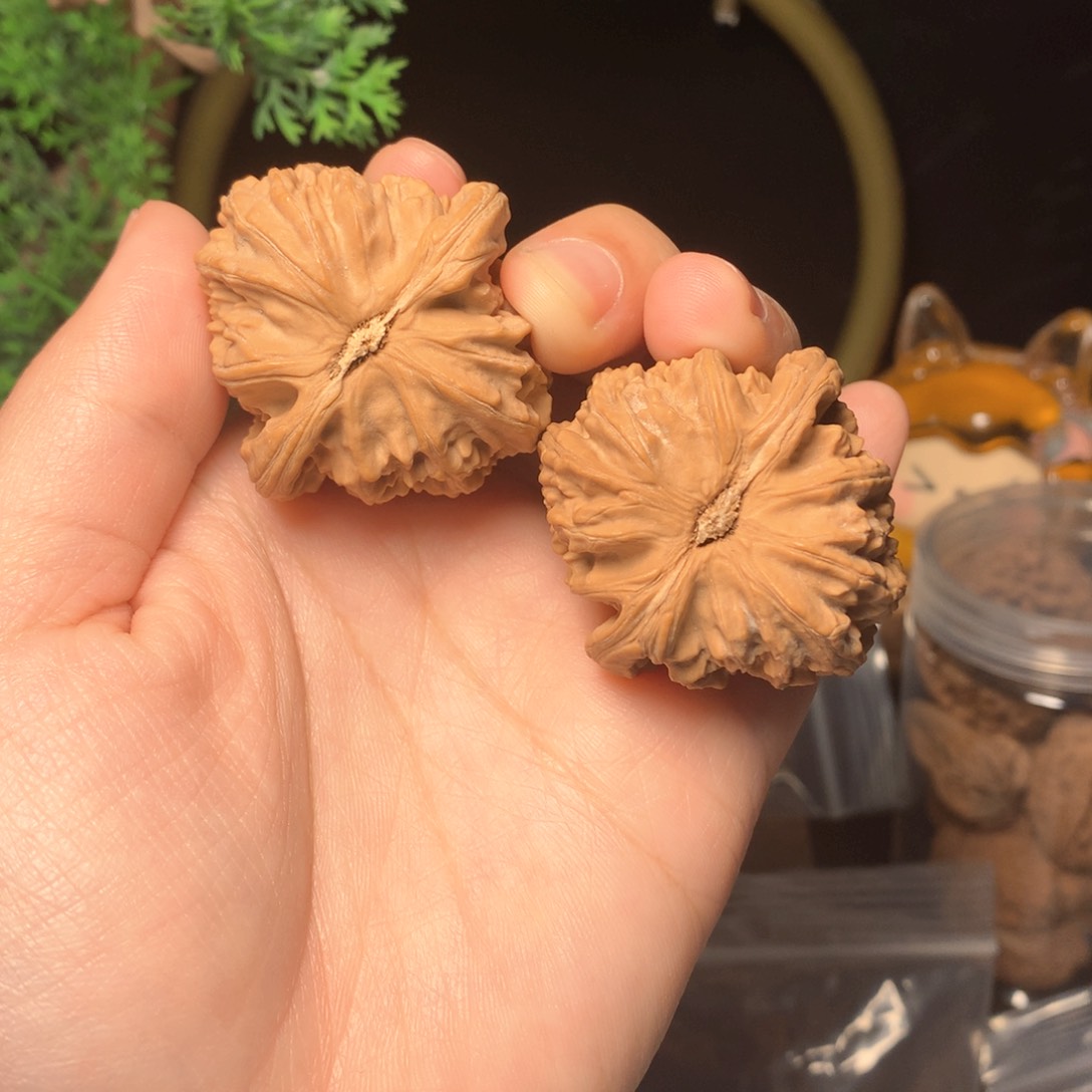 文玩核桃把件高**水白狮子