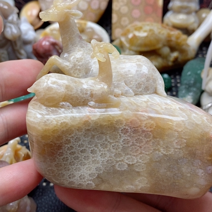 硅化珊瑚（珊瑚玉）颈饰未镶嵌