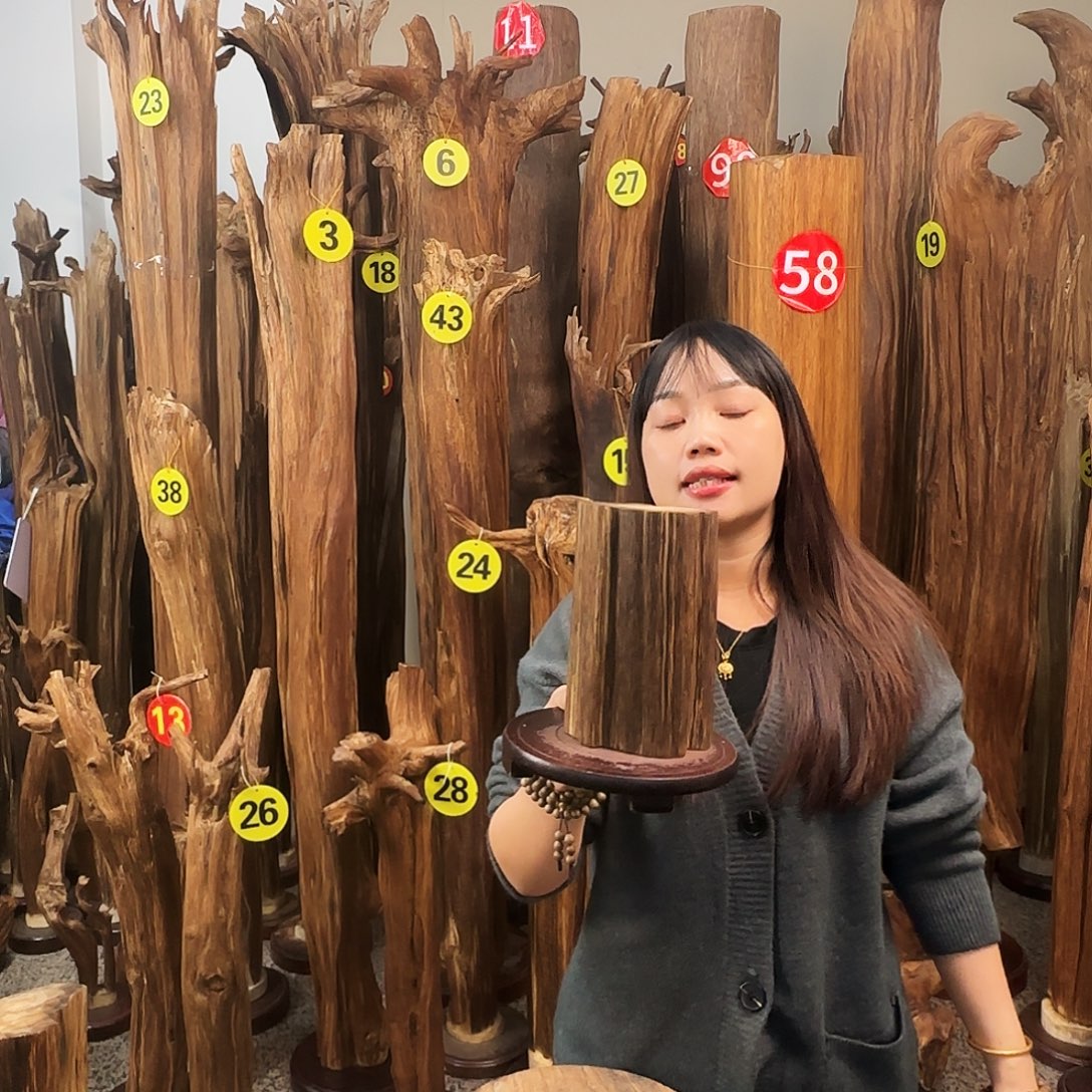 沉香碎屑沉香天然沉香原材料香料熏料