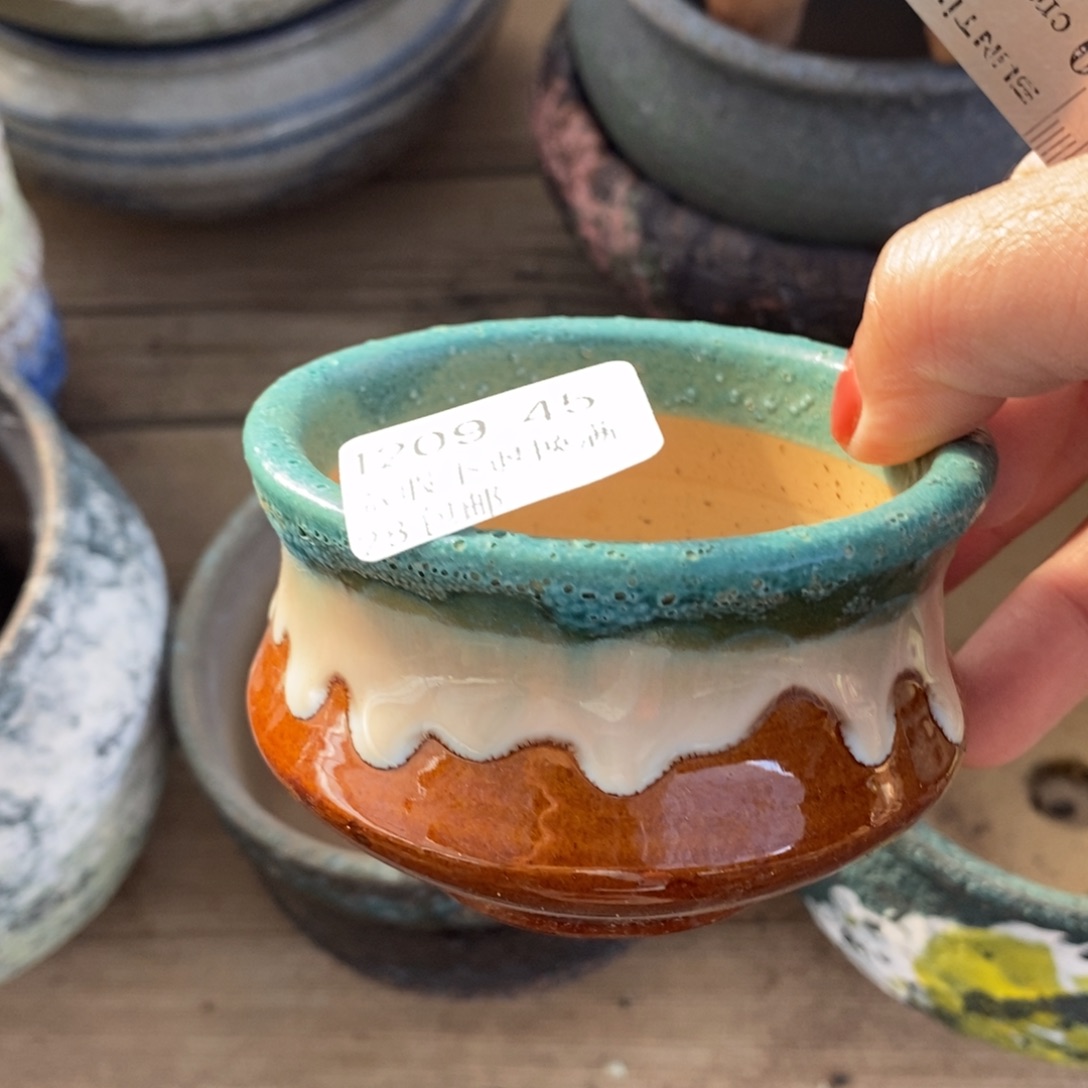 45号多肉盆口径7小可爱