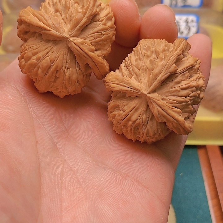 文玩核桃把件47白狮子三棱人丁兴旺