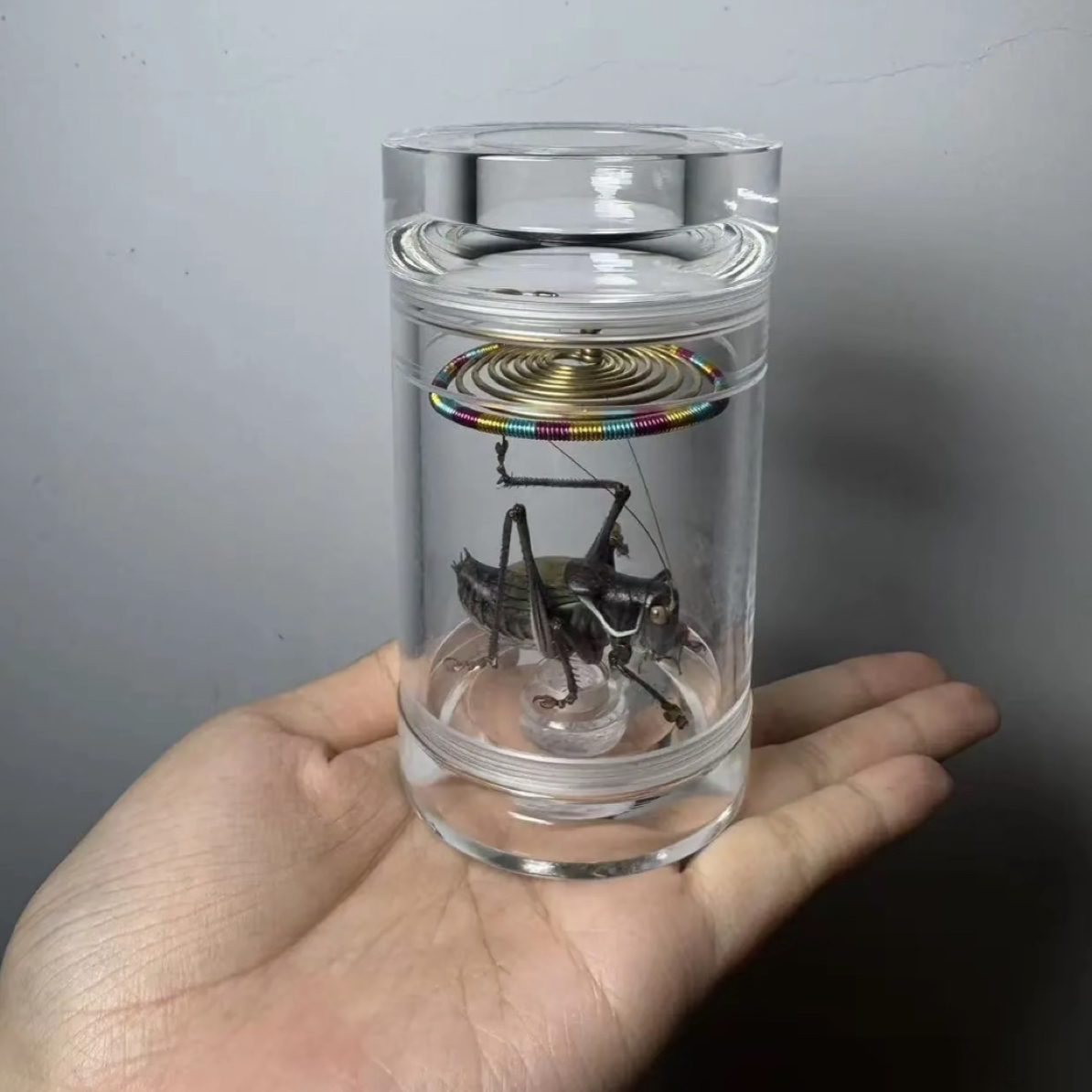 老王60水晶罐+铁皮蝈蝈（顺丰包邮 偏远地区不包）