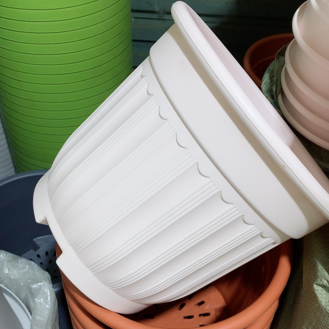 罗马口32分3个无托