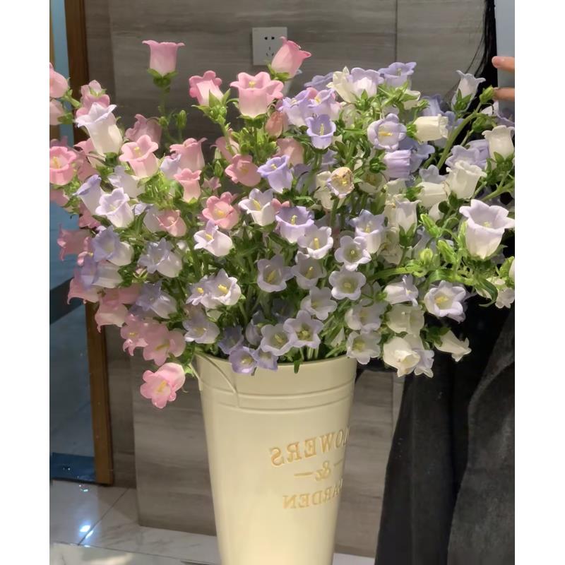 【小北专属】风铃3把（三个颜色）  【同地址两单京东或顺丰】