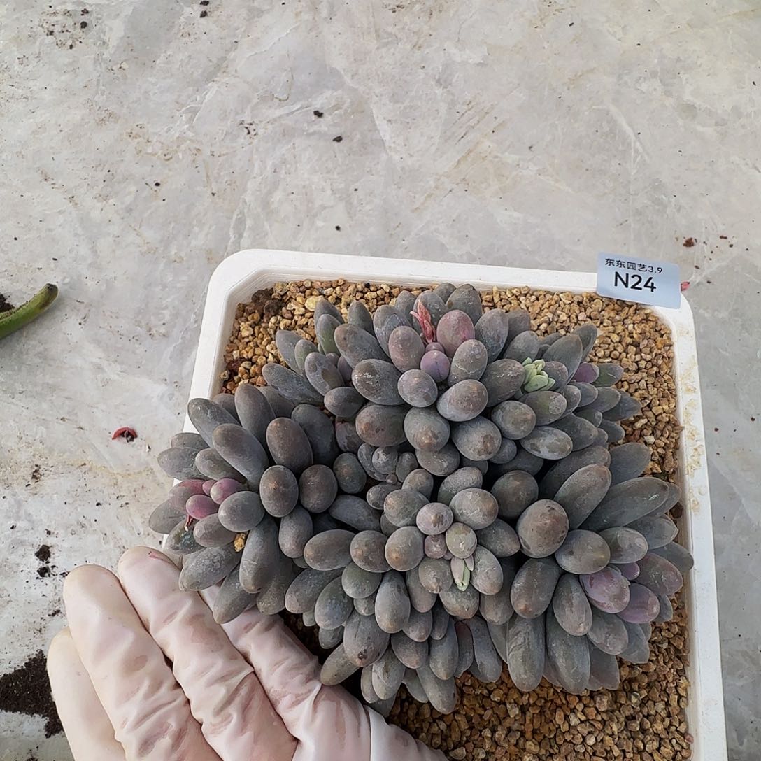 n n n n n n n n n n 24