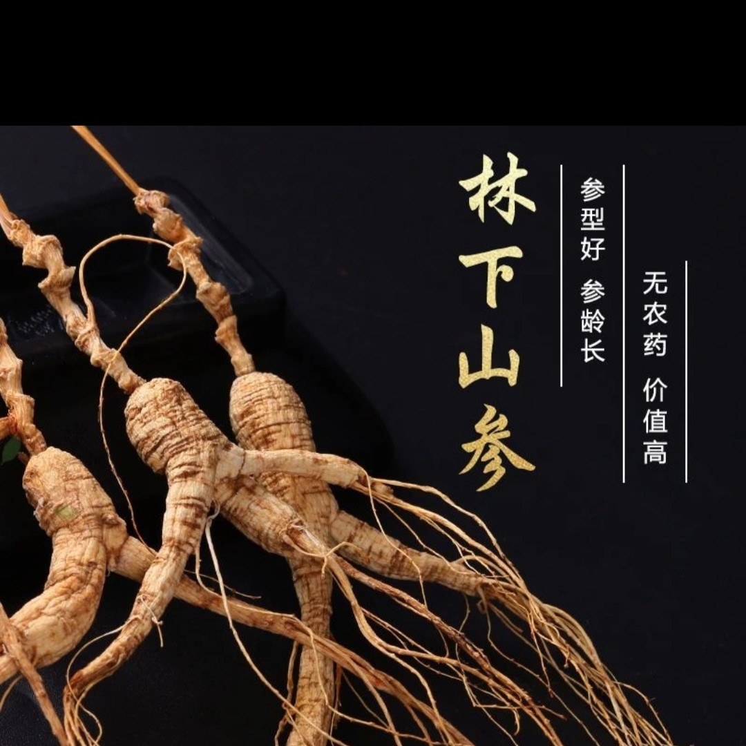 小李优品自家东北人参山参干品长白山人参吉林人参自用款150g*1盒