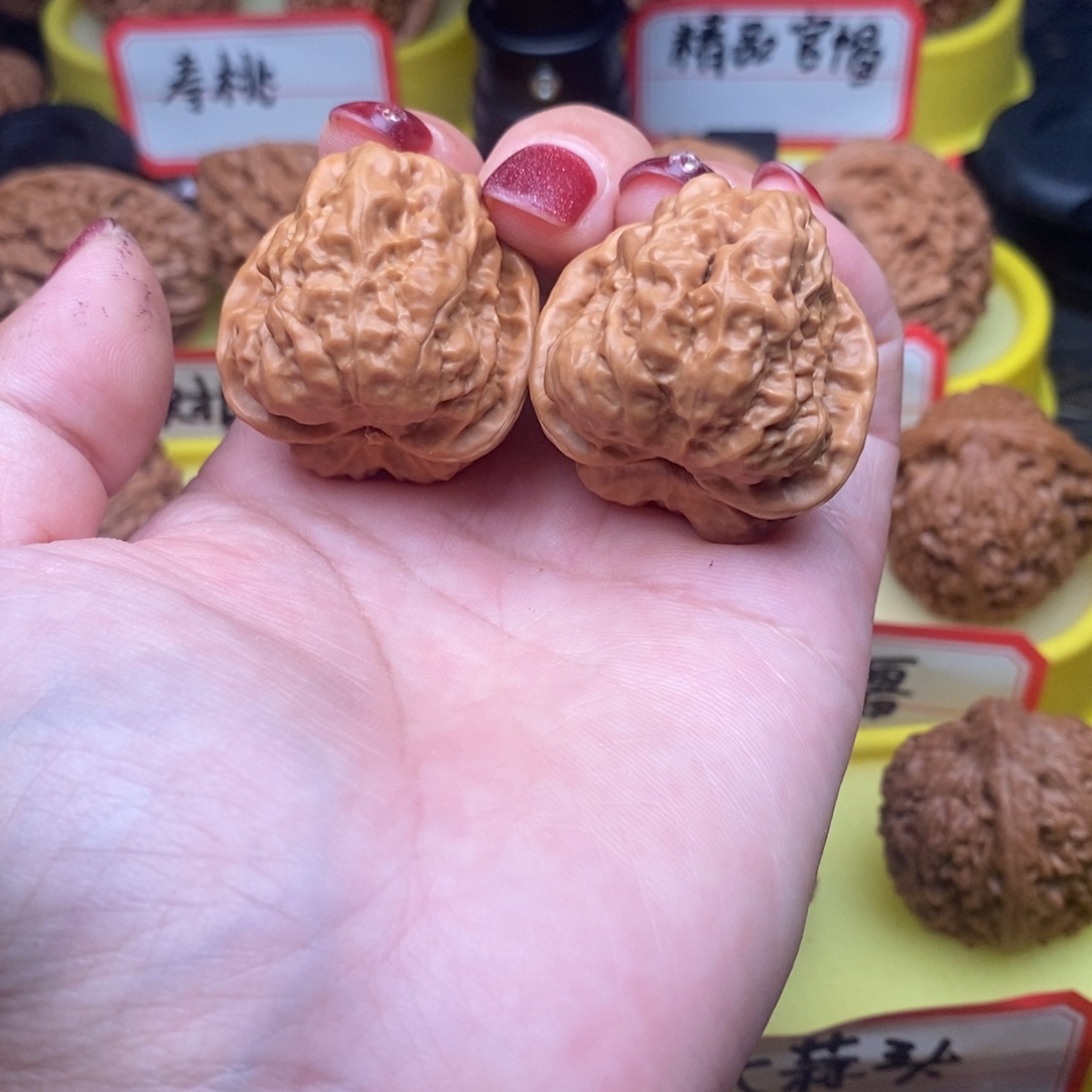 南***寻菩提籽类蛤蟆头头