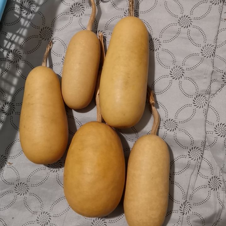 奶***ಣ自然葫芦专拍链接