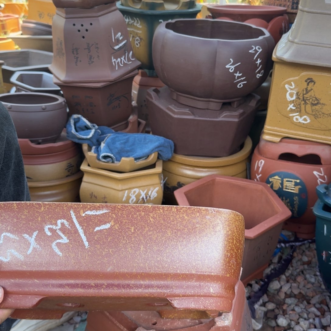 紫砂花盆紫砂花盆盆景盆栽