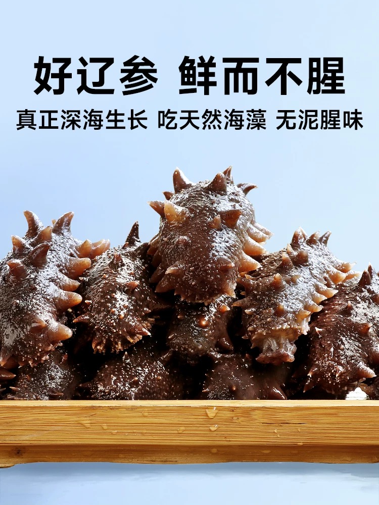 【食客蓉姐】鲜食海参 250-500g肉质美味营养新鲜