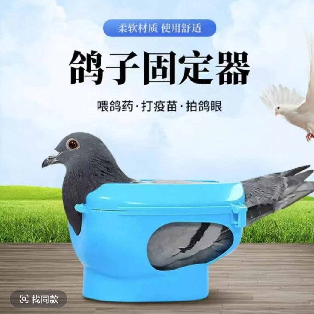 多功能鸽子固定器赛鸽适用防跑喂药打针看鸽眼辅助工具