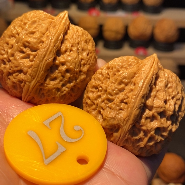 木质类龙鳞铁狮子41尺寸