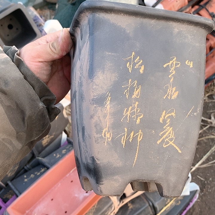 紫砂没有那么好吃我的人生