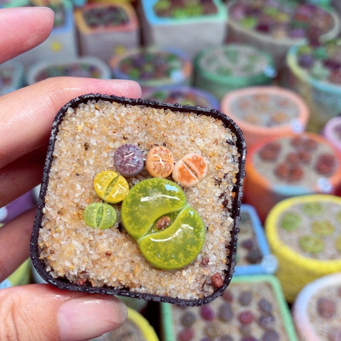 116。 88888888888888888