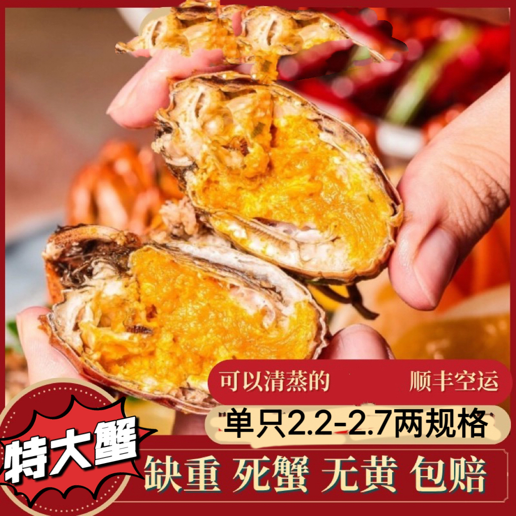 【精品特大蟹】辽宁薄壳黄油青蟹2.2-2.7两规格公蟹10/14只