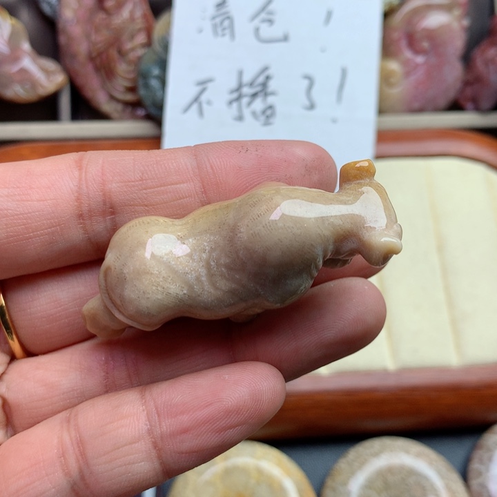 硅化珊瑚（珊瑚玉）颈饰未镶嵌