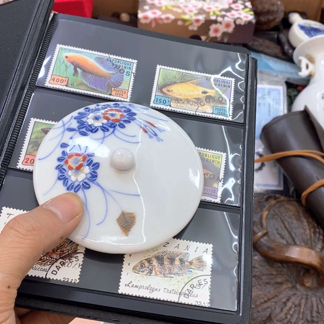 瓷片新号开播福利多多