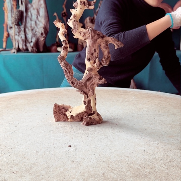 黑果木@*城450金丝红木羊蹄甲半成品