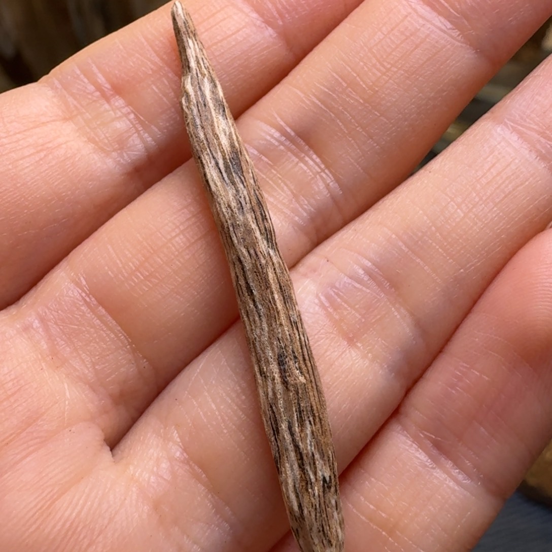 木海南大山熟结树心油0.4克福利